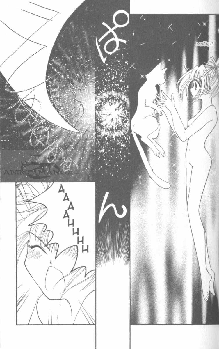 Tokyo Mew Mew 21.jpg
